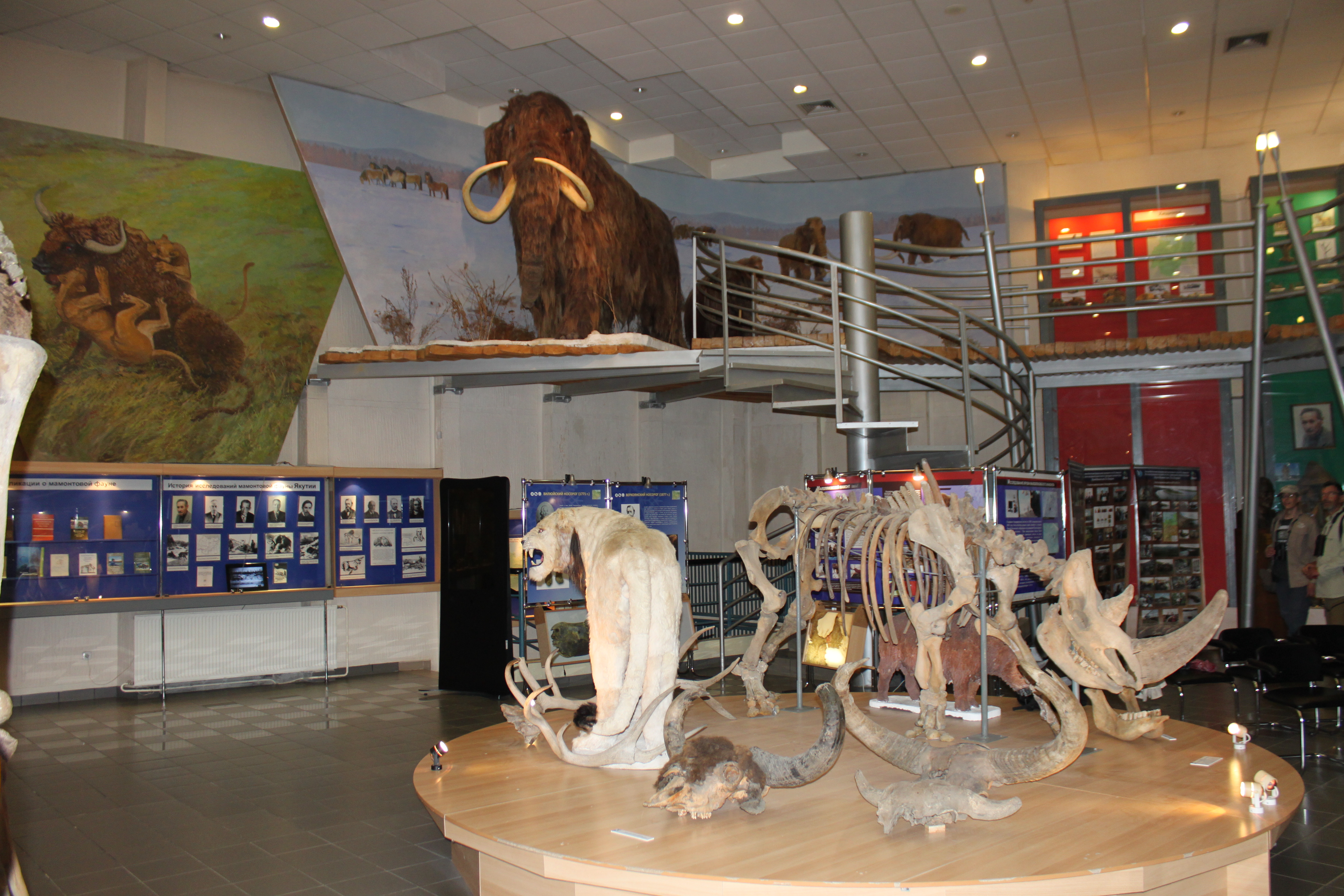 музей мамонта в якутии
